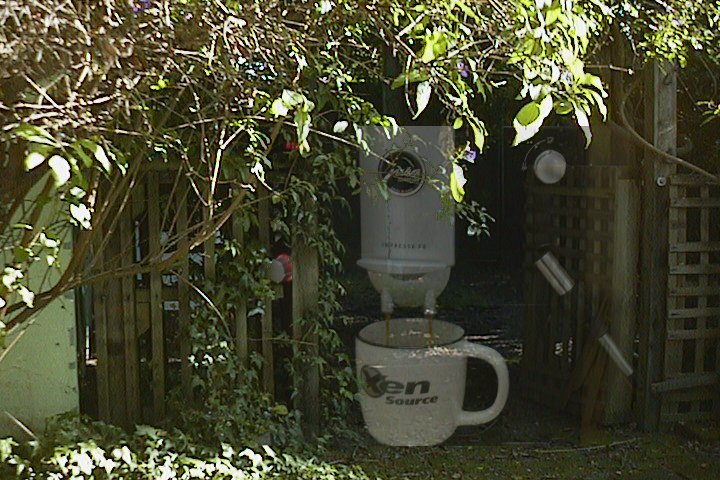 A
Little Xen in my garden